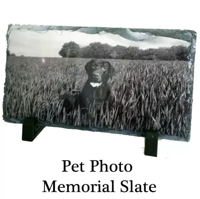 Pet Memorial Slate & Stand, Personalised Photo Plaque Dog Cat etc Have ANY IMAGE