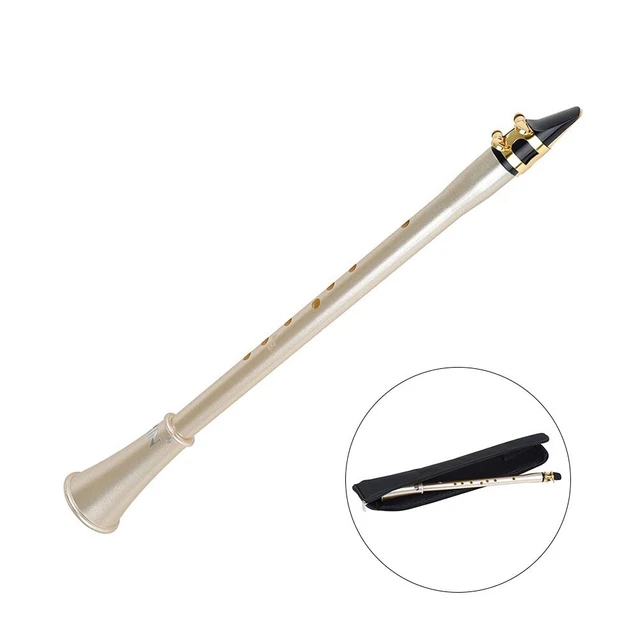 Mini Pocket Clarinet Saxophone Set with Carrying Case Perfect for Beginners