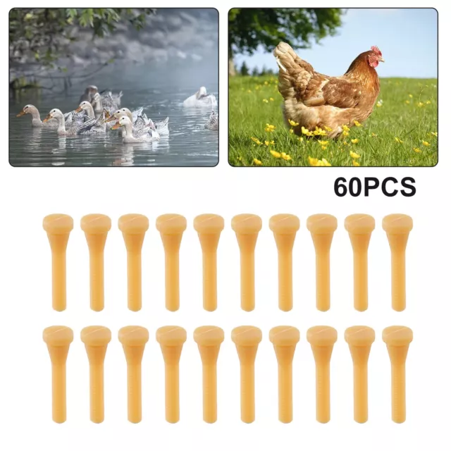 Multifunktionaler Hühnerplucker Finger Geflügel Federentferner 60-teiliges Kit