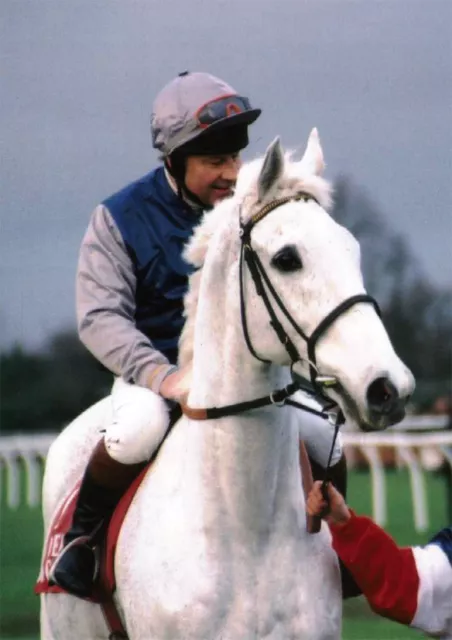 Desert Orchid Horse Racing Legend POSTER