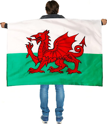 Large Wales Flag With Wearable Sleeve Welsh Football World Cup Fan Supporter
