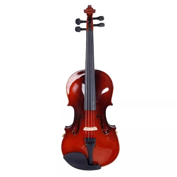 Full Size 4/4 Violin Adult Acoustic Violin Fiddle Beginner Set with Violin Case 2