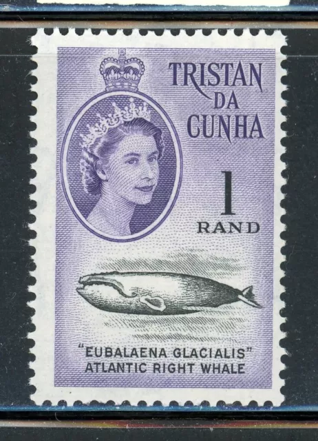 TRISTAN DA CUNHA 54 SG54 MH 1961 $1 QEII Definitive Right Whale CV$38