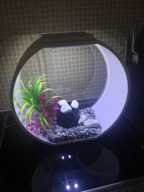 Fish R Fun 20 Litre Fish Tank