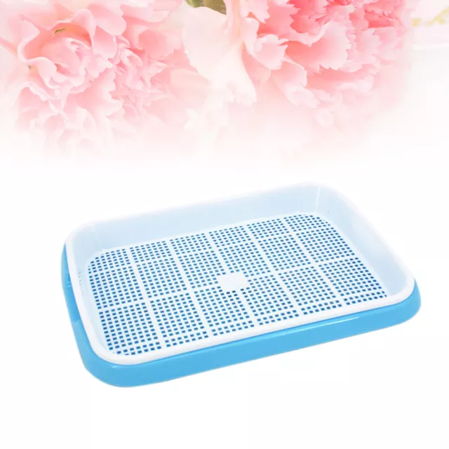 Plant Starter Trays The Cerulean Sky-blue Color Double Layer