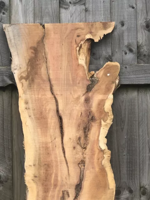 Yew wood slab live edge waney resin DIY 0018 2