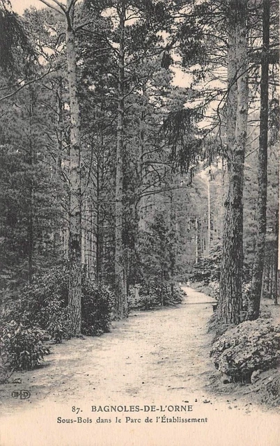 Bagnoles-de-l'Orne - Sous-bois dans le Parc de l'établissement -