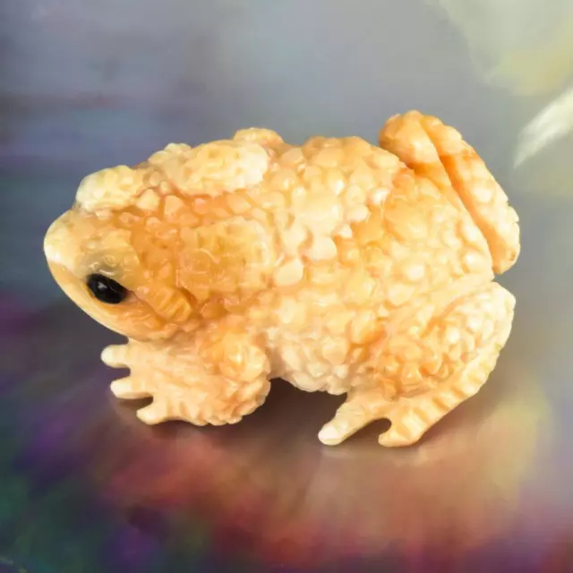 Toad Frog Figurine Carved Apricot Trumpet Shell Collection Jewelry Design 15.15g