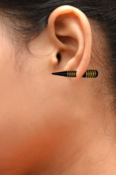 A Pair of Natural Black Wooden Fashion Organic Coco USA Wood Earrings EAR18
