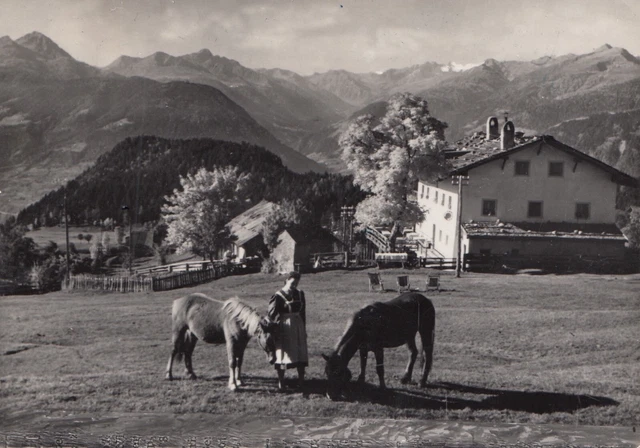 Avelengo Albergo pensione Tschitt fam. Werner cartolina Bolzano