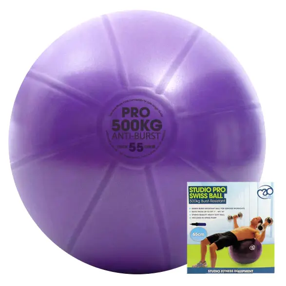 Fitness Mad Swiss Ball 500kg plus Everlast Fit Yoga Mat Purple