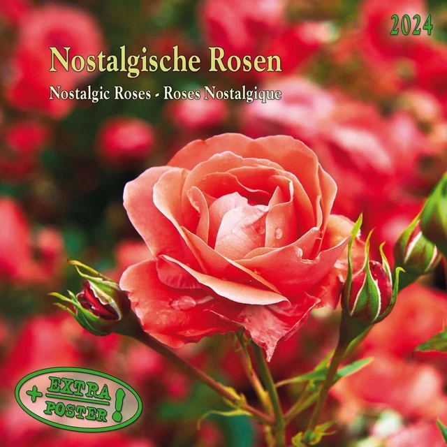NOSTALGIC ROSES/NOSTALGISCHE ROSEN 2024 Kalender 2024 Kalender Artwork