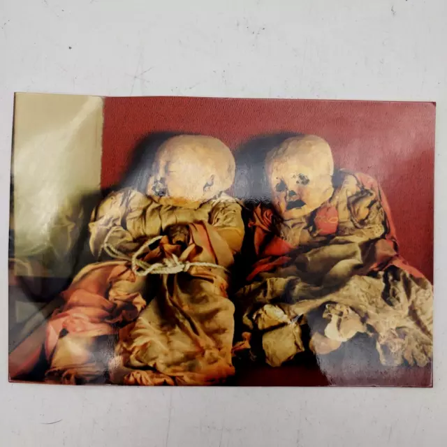 Museo de las Momias de Guanajuato Museum Of The Mummies 2 Postcards Twins Babies 2
