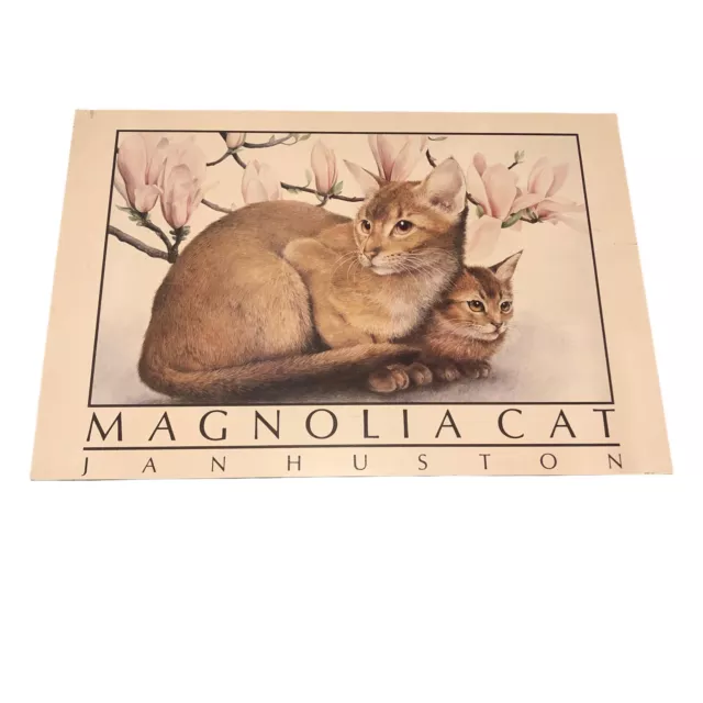 Large Vintage Magnolia Cat Jan Huston Art Print Poster Picture Mounted On Board