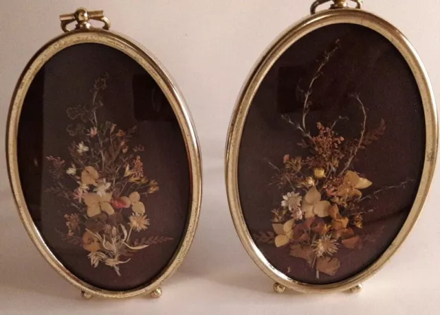 Cuadros De Colección Ovalado Prensa Seca Flores Marcos Color Dorado Arte Pequeño