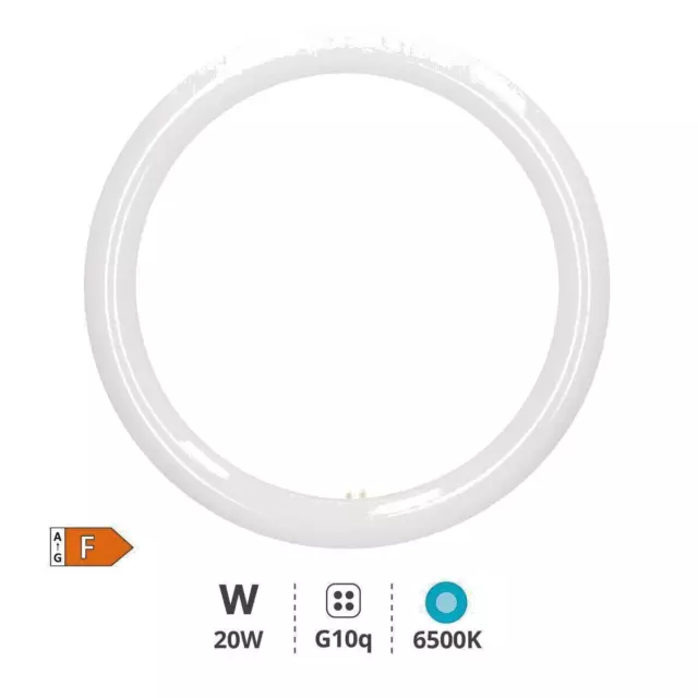 Tubo Led circular 20w T9 = Fluorescente 32w G10q 300mm 4 pin Luz Blanca 6500k