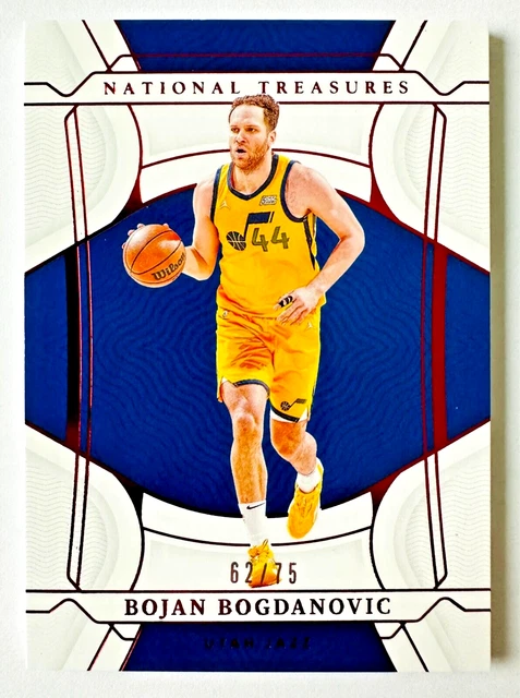 CARTE DE BASKET-BALL pistons de Detroit 2009-10 Panini Season Update