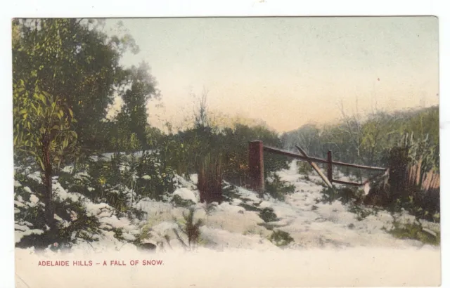 Adelaide Hills A Fall of Snow South Australia OLD POSTCARD circa 1907