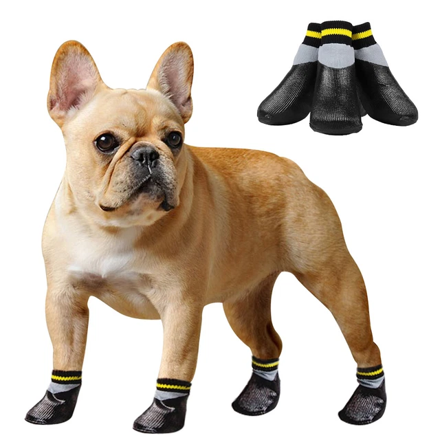 SCARPE PER CANI Impermeabili Scarponcini SCARPETTA Antiscivo Stivali  Proteggono EUR 12,19 - PicClick IT