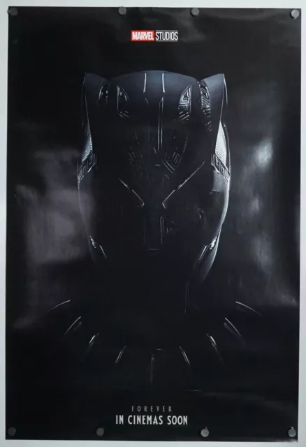 Black Panther Wakanda Forever original DS movie poster - 27x40 D/S INTL Adv VG