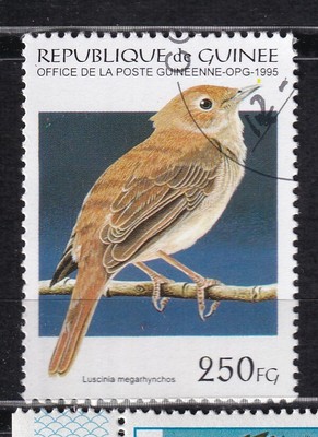 oiseau australien 6 lettres