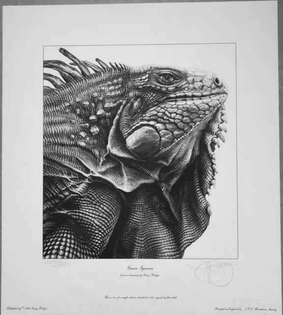 Gary Hodges Signed Limited Edition -Green Iguana - 458/850