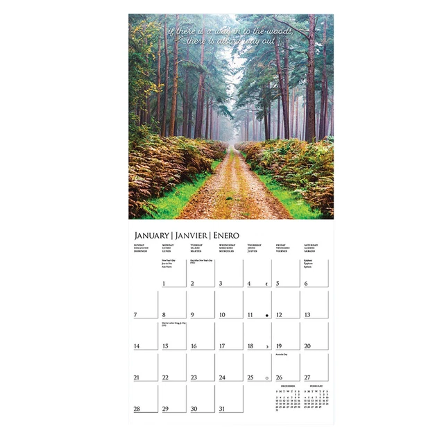 IN TO THE Woods Wall Calendar 2024 Landscape Picture Wall Calendar 16.