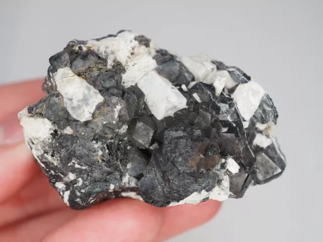NEPHELIN xx Schorlomit xx - Jebel Bou-Agrao, Amersid, Marokko, 2003 - Top!