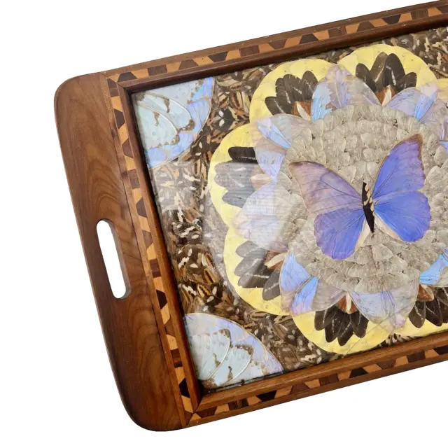 Vintage Brazilian Butterfly Wing & Inlaid Wooden Tray Butterflies Display Multi