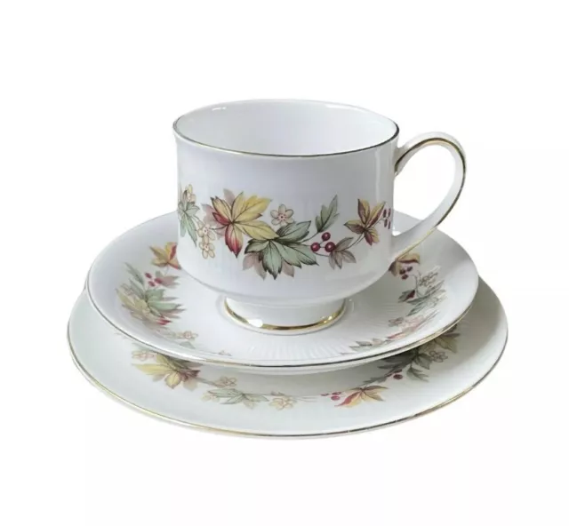 Royal Standard - Lyndale - Vintage Teacup Trio - Autumn Leave Pattern