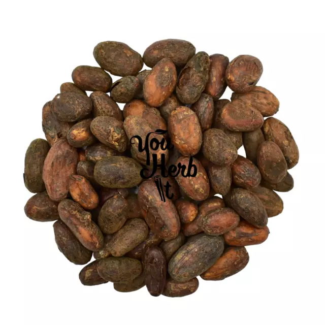 Granos de cacao criollos orgánicos calidad de alimentos crudos 25g-200g - Theobroma cacao