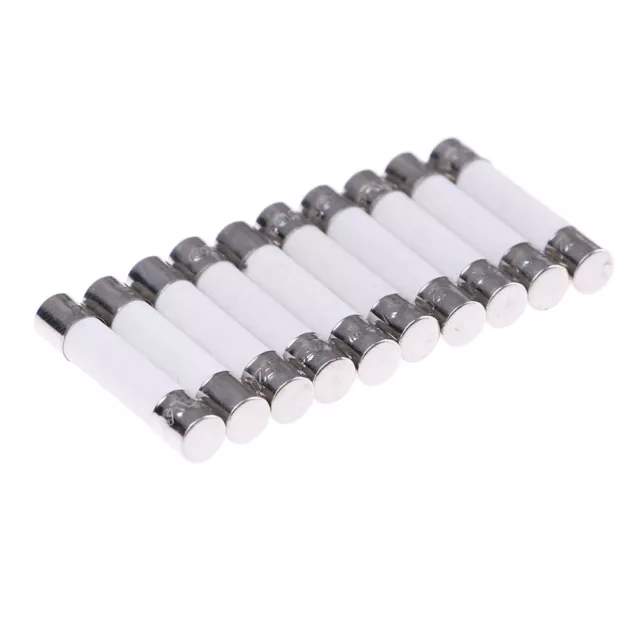 10 Pcs Microwave Ceramic Fuse Electric 20A 250V Home Supplies DIY 6x30mm.C3