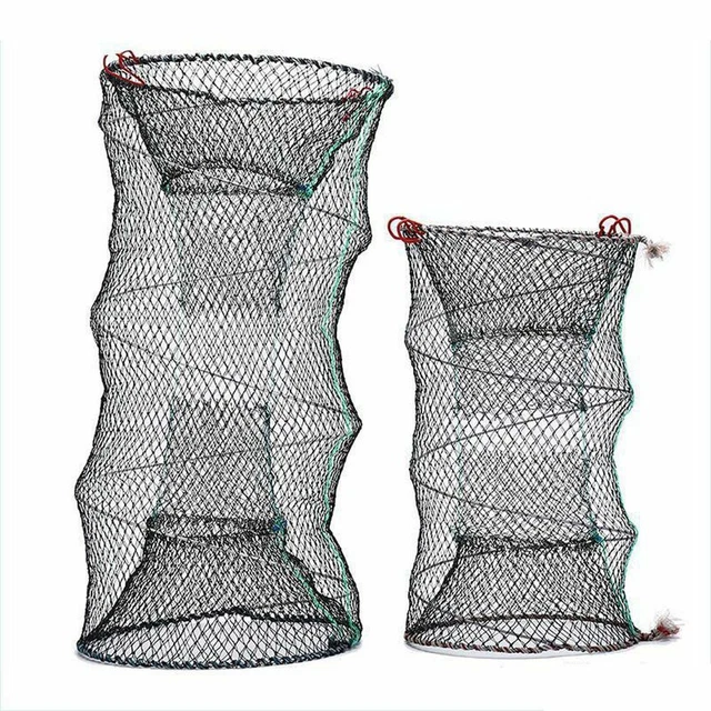 Trappola Per Anguille E Granchi A 5 Fori – PP Resistente, 32x10 Cm, Leggera E Portatile Per Pesca In Mare E Lago