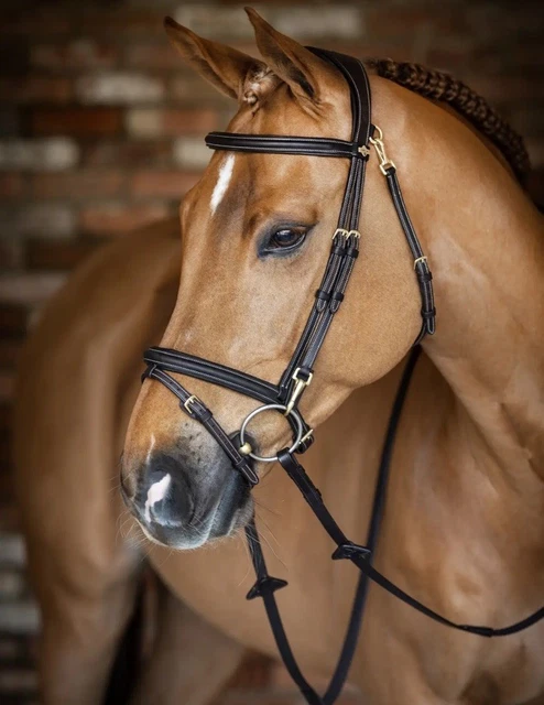 Double Bride équitation Cuir Anglais - Taille Cob - Marron Foncé - Occasion
