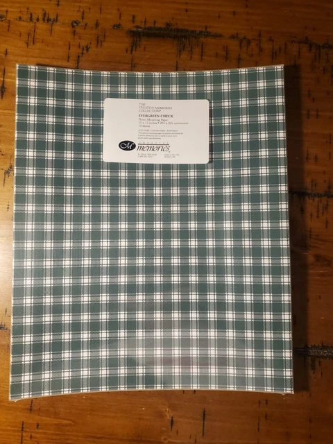 Papel de montaje fotográfico a cuadros Evergreeen 10x12 10 hojas recuerdos creativos