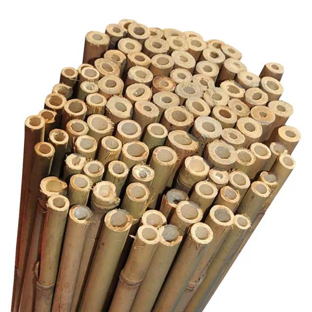 5ft Extra Strong Heavy Duty Professional Bamboo Plant Support Garden Canes