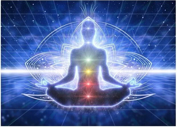 DNA Wealth Digital Product fastprofitmaster.com
