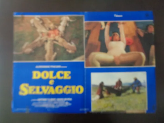 fotobusta DOLCE E SELVAGGIO (1983) DOCUMENTARIO   tipo LOCANDINA