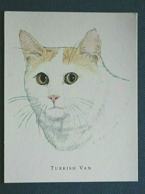 TURKISH VAN CAT  Illustrated Card  XC01
