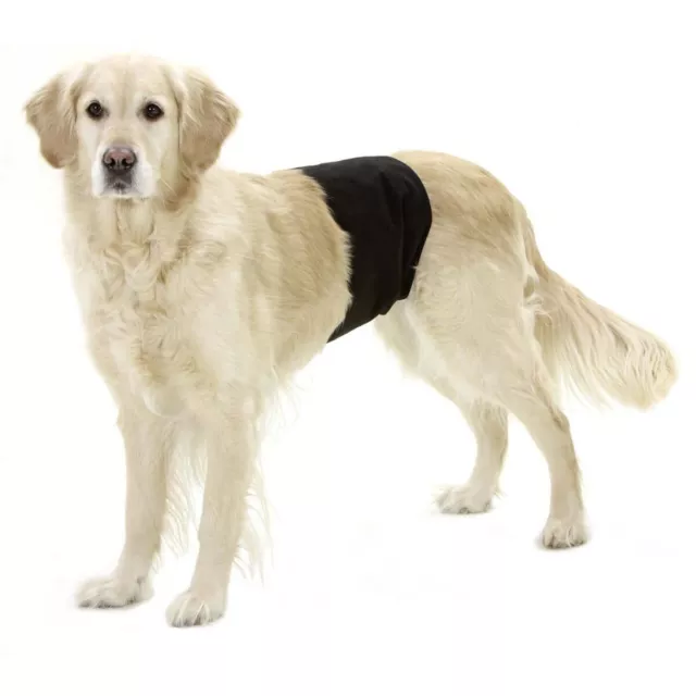Karlie Gentleman Wraps Schutzhose Rüden 59 x 19 cm Hunde Windeln Inkontinenz