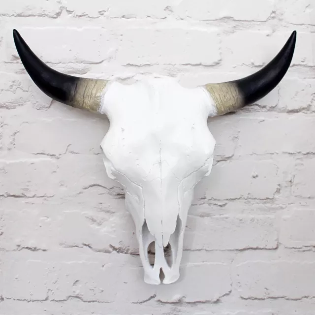 White Faux Cow Skull 3 sizes Wall Mount Steer Bull Horn Head Sculpture