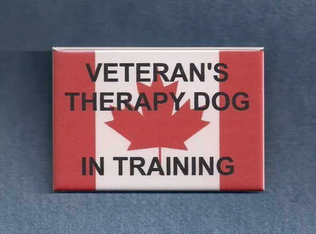 CANADA - VETERAN'S THERAPY DOG IN TRAINING  - therapy dog vest button w/pin back