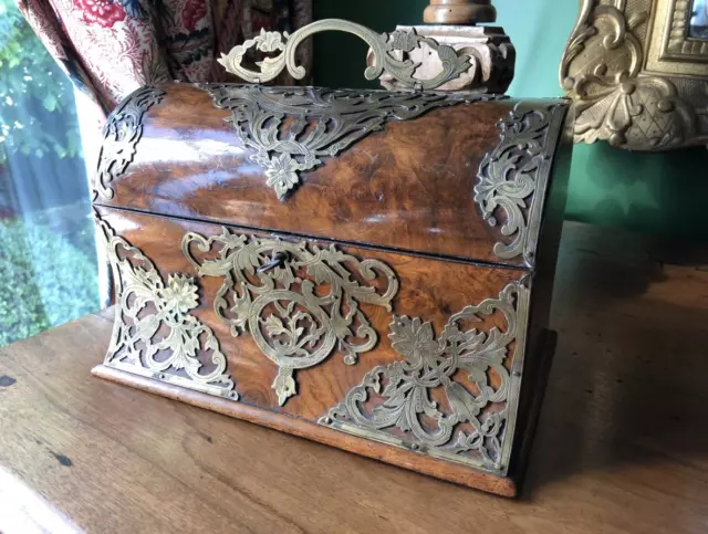 Antique 19th Old Tomb Bronze Rare Tea Box Walnut Curved Varnished Burl Floral