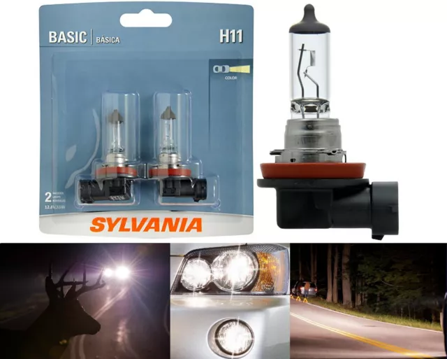 Sylvania Basic H11 55W Zwei Glühbirnen Kopf Licht Niedrig Träger Ersatz Halogen