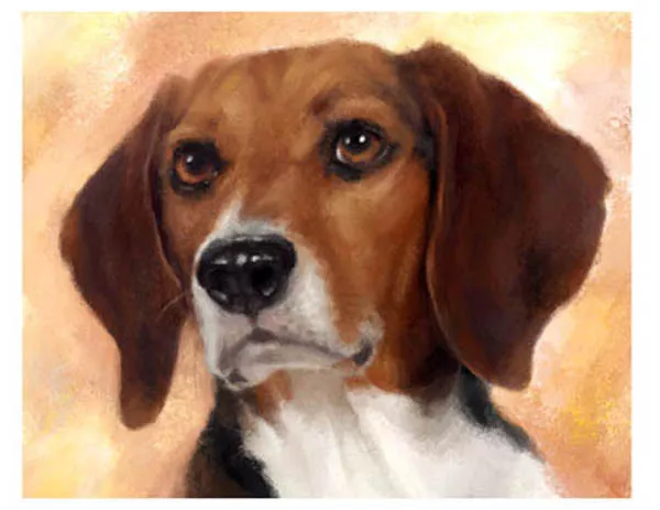 artav Beagle 08 Art Print of Acrylic on Canvas Painting