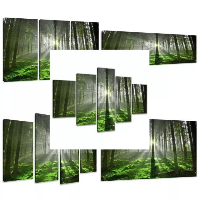 LEINWAND WANDBILDER BILD WALD LICHT BÄUME VERSCHIEDENE GRÖßEN KUNSTDRUCK 1513 D1