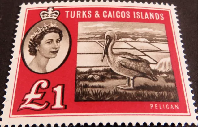 Turks & Caicos Islands Stamps Elizabeth II - 1960 £1- Red & Sepia - SG: 253