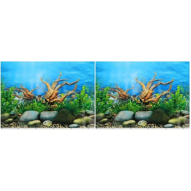 2x fond d'aquarium image d'aquarium toile de fond de réservoir de poissons