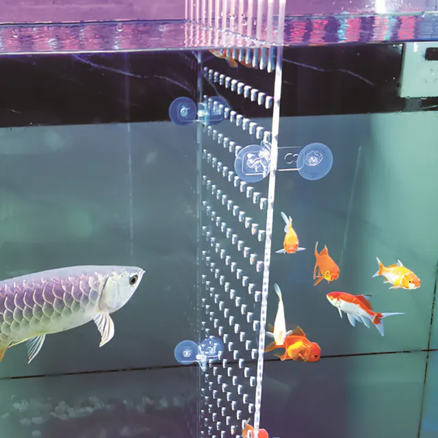 Aquarium Professional Transparent Clear Aquarium Supply for Fish