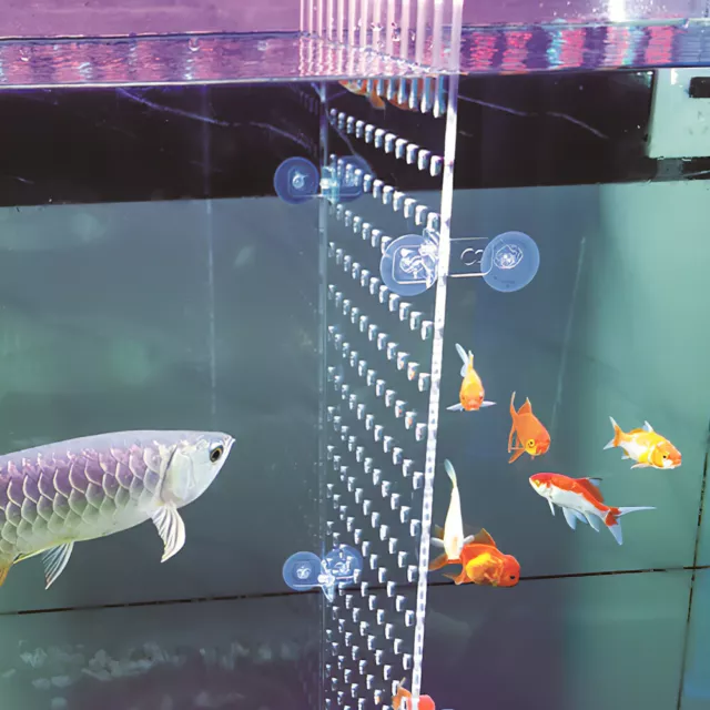 Fish Tank Divider Plate Aquarium Supply for Fish Tank Fish Isolation Decor